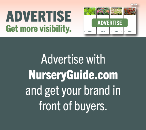 OAN dummy ad - premium